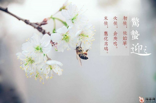 驚蟄時節(jié)，山西鋼結(jié)構(gòu)工人怎么過？